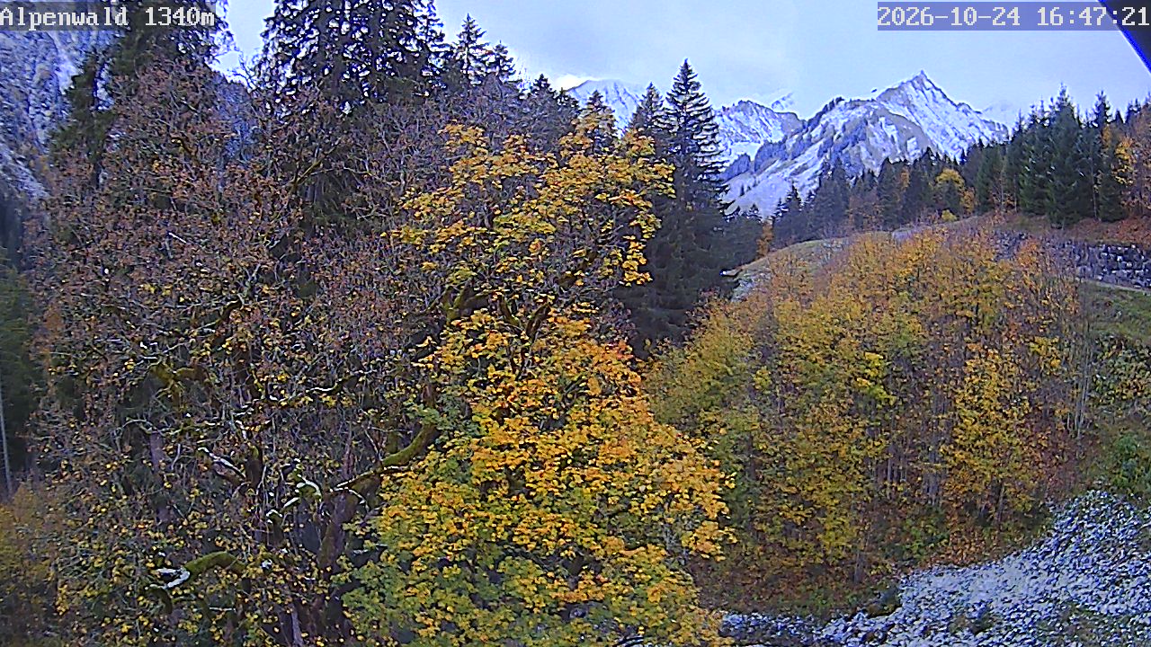 Image: Gasthof Alpenwald